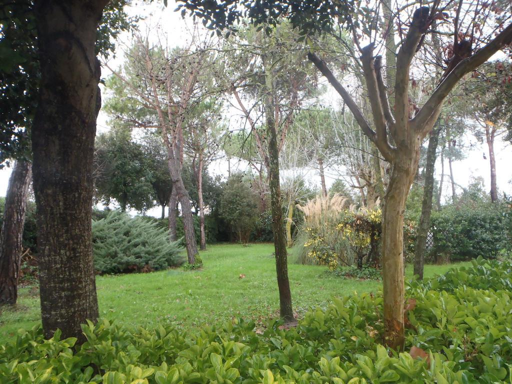 Hotel Airone Pisa Ristorante San Giuliano Terme