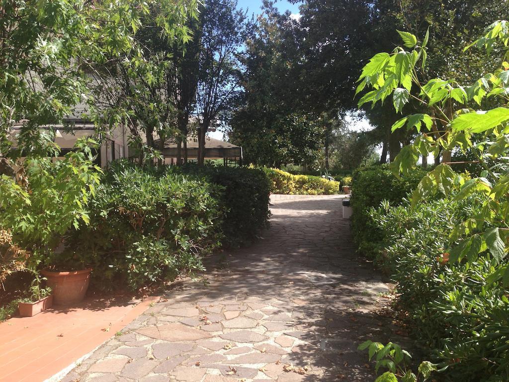 Hotel Airone Pisa Ristorante 3*